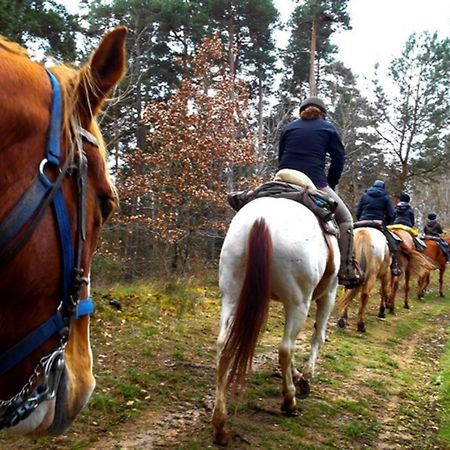 Les Gites Du Val Valprivas Luaran gambar