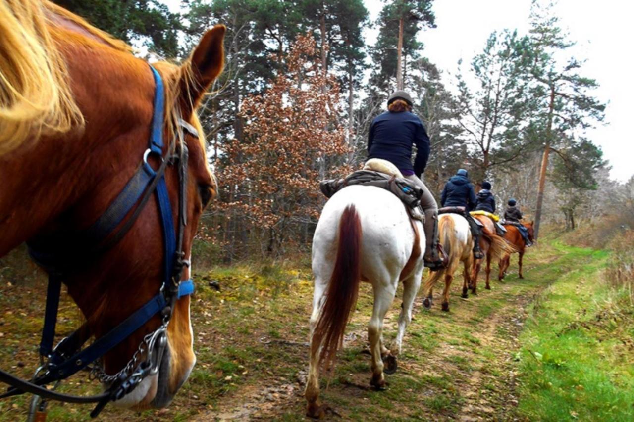 Les Gites Du Val Valprivas Luaran gambar